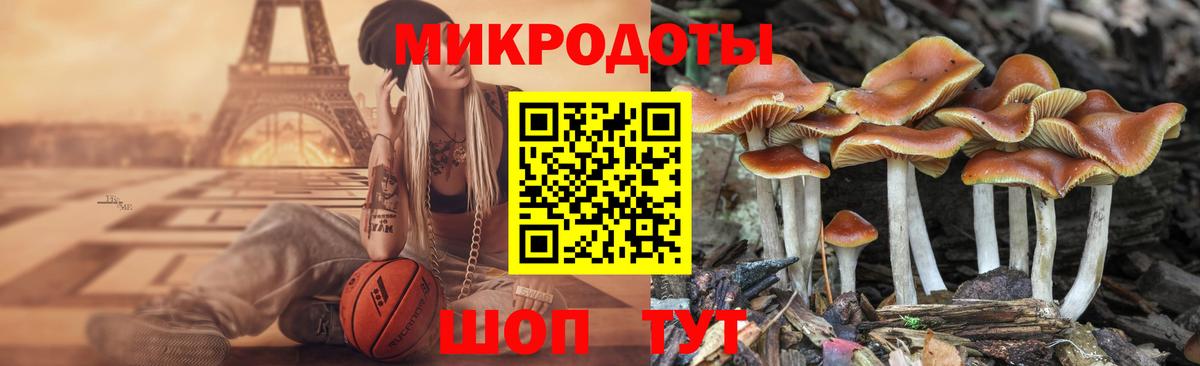 Псилоцибиновые грибы прущие грибы Березники