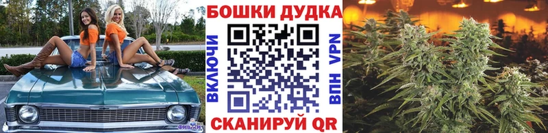 Бошки Шишки Amnesia Березники